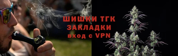 стафф Верхний Тагил