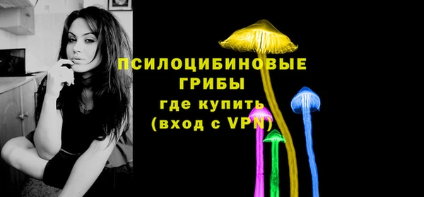 прущий лед Снежногорск