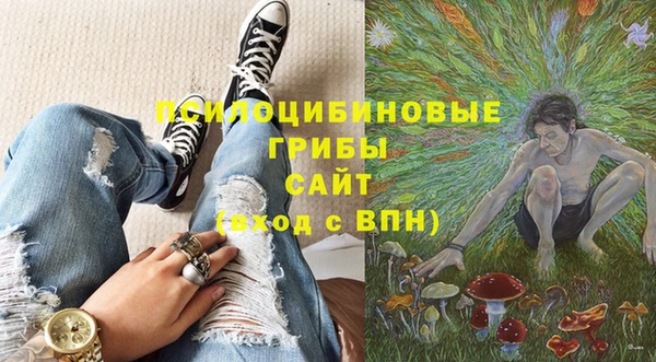 ешки Верея