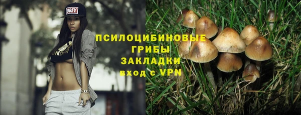стафф Верхний Тагил